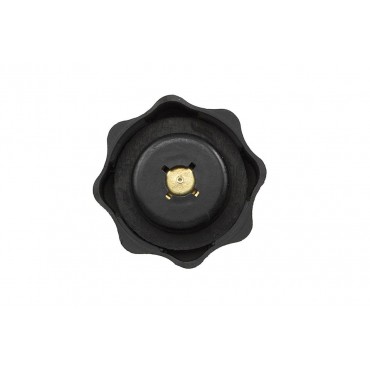 Bouchon Vase D'expansion Pour Defender Freelander Mini 45 I 400 25 17107515499