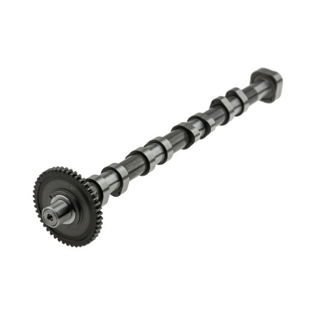 Arbre à Cames pour A3 A4 Q3 TT TOLEDO III LEON EXEO ST ALTEA XL YETI 06H109022BA
