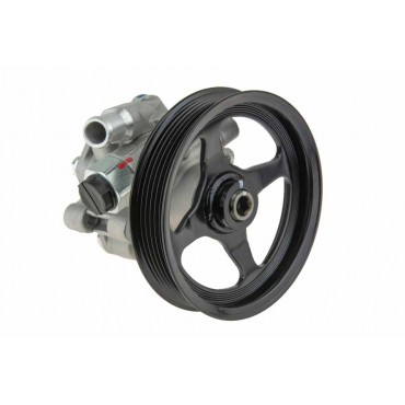 Pompe de Direction Assistée Pour Cadillac SRX 3.6 4.6 2003-2010 25754247