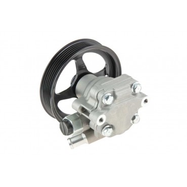 Pompe de Direction Assistée Pour Cadillac SRX 3.6 4.6 2003-2010 25754247