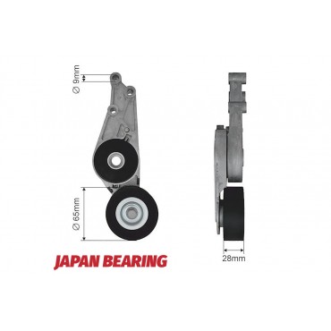 Tendeur De Courroie Pour Audi A4 A6 Seat Exeo 06B903133