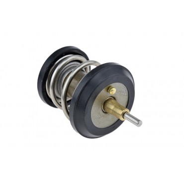 Thermostat D'eau Pour A3 A5 Tt Exeo Leon Yeti Octavia Eos Golf Tiguan 06H121121L