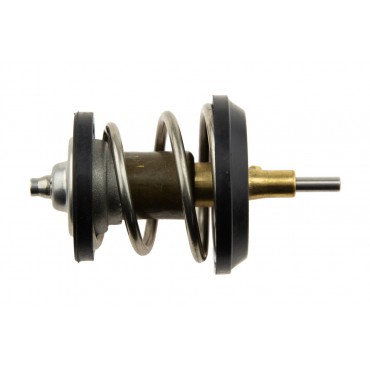 Thermostat D'eau Pour A3 A5 Tt Exeo Leon Yeti Octavia Eos Golf Tiguan 06H121121L