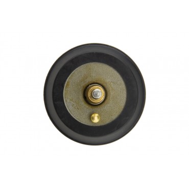 Thermostat D'eau Pour A3 A5 Tt Exeo Leon Yeti Octavia Eos Golf Tiguan 06H121121L