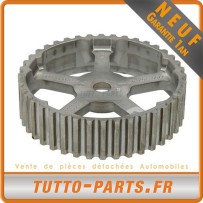 Poulie D'arbre A Came pour NISSAN Interstar Primastar RENAULT Clio Kangoo Laguna Mégane Scénic Master