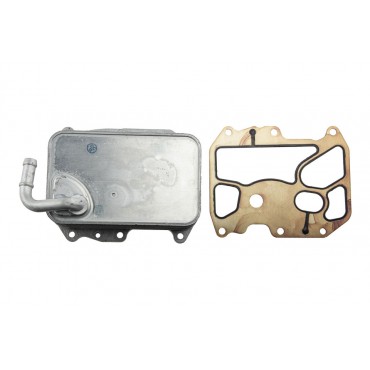 Refroidisseur Radiateur D'huile Moteur Pour A4 A5 A6 Q5 Q7 Q8 Amarok 059117015K