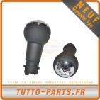 Pommeau Levier de Vitesse pour CITROEN Berlingo PEUGEOT 207 307