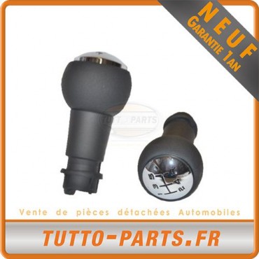 Pommeau Levier de Vitesse pour CITROEN Berlingo PEUGEOT 207 307