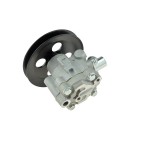 Pompe de direction assistée Pour NISSAN PICK UP 2002-2010 49110-VK513 49110VK513