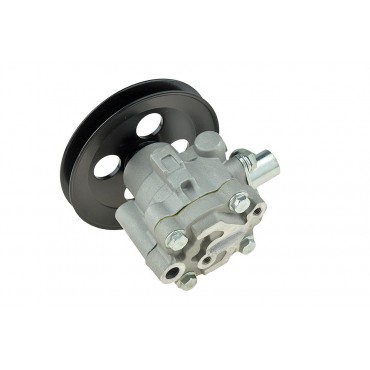 Pompe de direction assistée Pour NISSAN PICK UP 2002-2010 49110-VK513 49110VK513