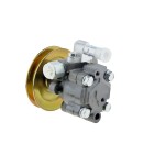 Pompe de direction assistée Pour NISSAN PATROL GR V Wagon 1997-2000 49110VB300