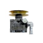 Pompe de direction assistée Pour NISSAN PATROL GR V Wagon 1997-2000 49110VB300