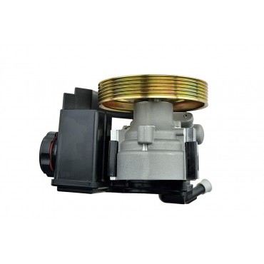 Pompe de direction assistée Pour PEUGEOT 206 4007Z5 4007LQ 40076E