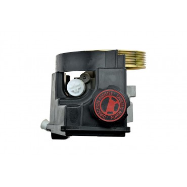 Pompe de direction assistée Pour PEUGEOT 206 4007Z5 4007LQ 40076E