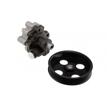 Pompe de direction assistée Pour DODGE DAKOTA DURANGO DN 52106-253AD 52106253AD