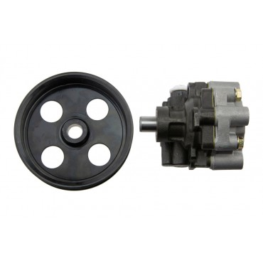 Pompe de direction assistée Pour DODGE DAKOTA DURANGO DN 52106-253AD 52106253AD