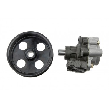 Pompe de direction assistée Pour DODGE DAKOTA DURANGO DN 52106-253AD 52106253AD