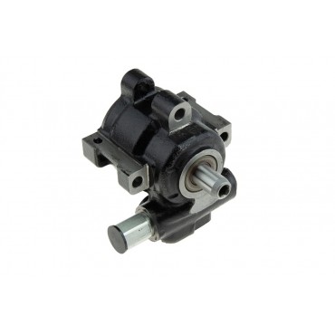 Pompe de direction assistée Pour DODGE RAM 1500 2002-2007 5073240AA