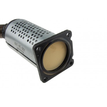 Catalyseur pour PEUGEOT 206 1731EY