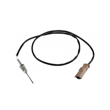 Sonde Capteur FAP Pour CITROËN C5 C6 C8 PEUGEOT 307 406 607 807 1628 LE 1618LE