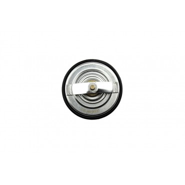 Thermostat d'eau Pour A4 A6 A8 3 5 7 DEFENDER Station SUPERB PASSAT 11531712043