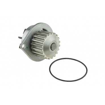 Pompe à eau Pour AX BX C15 SAXO XSARA ZX MICRA 106 205 306 PARTNER 100 120158