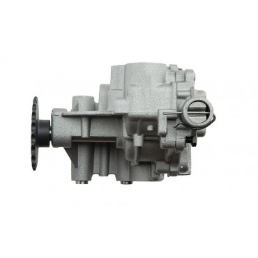 Pompe à huile Pour QASHQAI VIVARO ESPACE GRAND KOLEOS LAGUNA MEGANE 150157688R