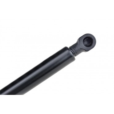 Vérin de capot moteur Pour LEXUS IS 1999-2013 53450-0W080 53450-0W081 534500W080