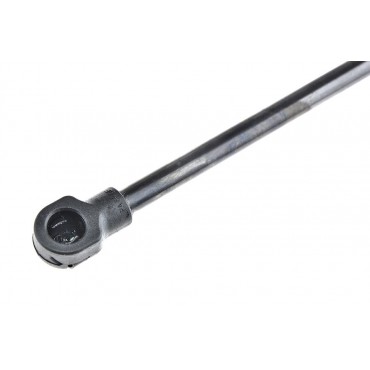 Vérin Hayon de coffre Pour RENAULT LAGUNA III 844310002R 844304692R 844300004R