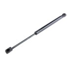 Vérin Hayon de coffre Pour RENAULT MEGANE II A LM0/1_ 8200119497