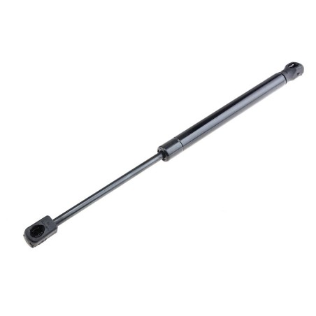 Vérin Hayon de coffre Pour RENAULT MEGANE II A LM0/1_ 8200119497