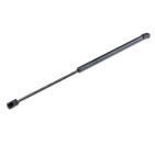 Vérin Hayon de coffre Pour RENAULT MEGANE III KZ0/1 844300009R