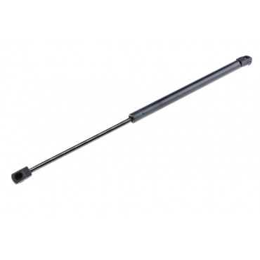 Vérin Hayon de coffre Pour RENAULT MEGANE III KZ0/1 844300009R