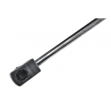 Vérin Hayon de coffre Pour RENAULT MEGANE III KZ0/1 844300009R