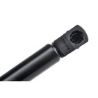 Vérin Hayon de coffre Pour RENAULT MEGANE III KZ0/1 844300009R