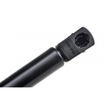 Vérin Hayon de coffre Pour RENAULT MEGANE III KZ0/1 844300009R