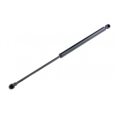 Vérin Hayon de coffre Pour RENAULT CLIO III BR0/1 CR0/1 SB_ 8200299546 32062565