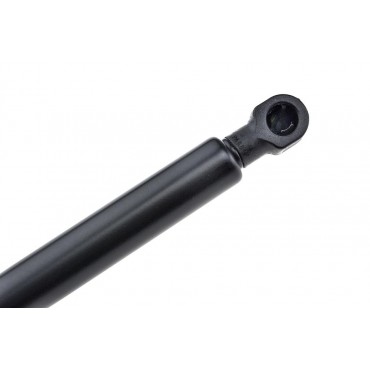 Vérin Hayon de coffre Pour RENAULT LAGUNA i K56 7700838005 7700427547 7700846538