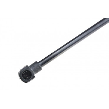 Vérin Hayon de coffre Pour ABARTH FIAT 500C 595C 695C 312_ 51839496 51859965