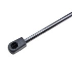 Vérin Hayon de coffre Pour CITROEN C4 PICASSO 2007-2013 8731.P2 9654433480