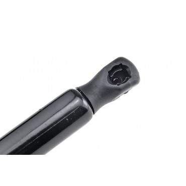 Vérin Hayon de coffre pour BMW X6 E71 E72 51247201940
