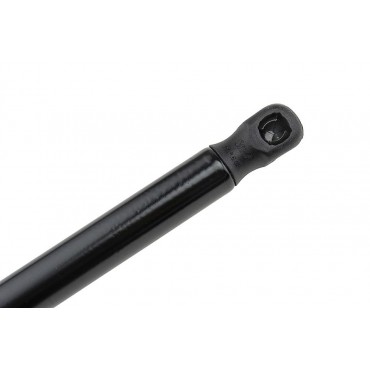 Vérin Hayon de coffre Pour AUDI TT 8J3 2006-2014 8J8827552