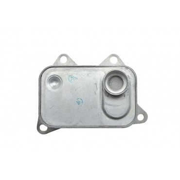Refroidisseur Radiateur d'huile Pour Q5 VW ATLAS BEETLE JETTA TIGUAN 06K117021B