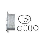 Refroidisseur Radiateur d'huile Pour C4 SCUDO FOCUS PHEDRA EXPERT C30 V70 1103L3