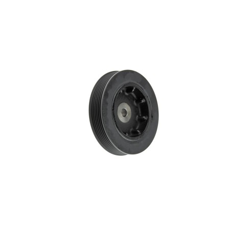 Poulie Damper Pour SOLENZA CLIO KANGOO MEGANE RAPID SCÉNIC THALIA TRAFIC TVD1010
