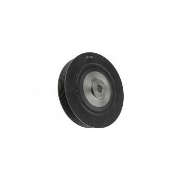 Poulie Damper Pour SOLENZA CLIO KANGOO MEGANE RAPID SCÉNIC THALIA TRAFIC TVD1010