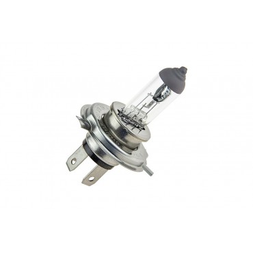 10 AMPOULE H4 60/55w
