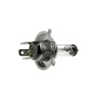 10 AMPOULE H4 60/55w