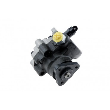 Pompe de direction assistée LAND ROVER DISCOVERY 1998-2004 ERR6447