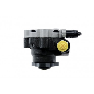 Pompe de direction assistée LAND ROVER DISCOVERY 1998-2004 ERR6447